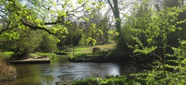 River-Crane-Valley-Park-Image1
