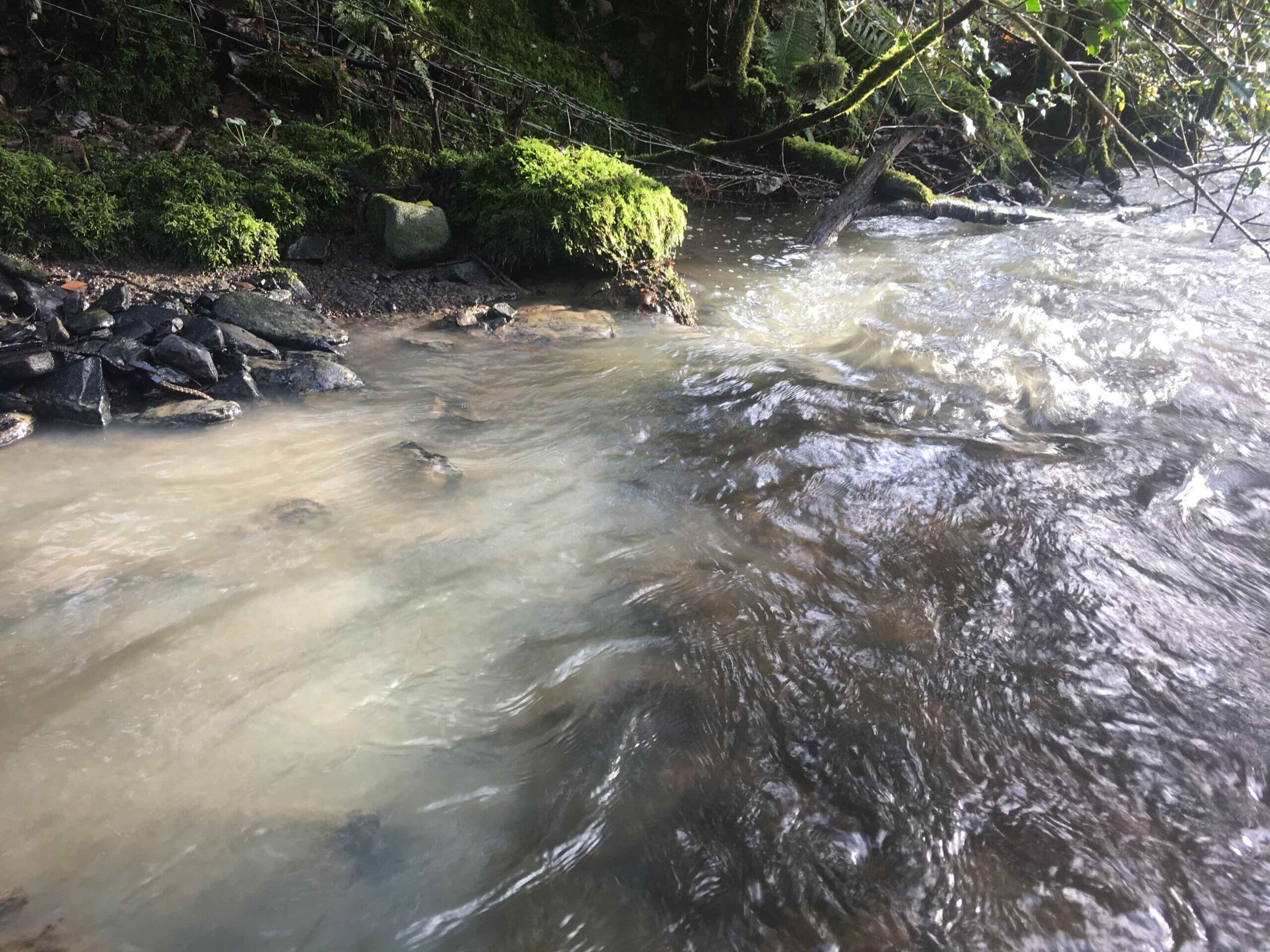 silt-plume-in-river-scaled