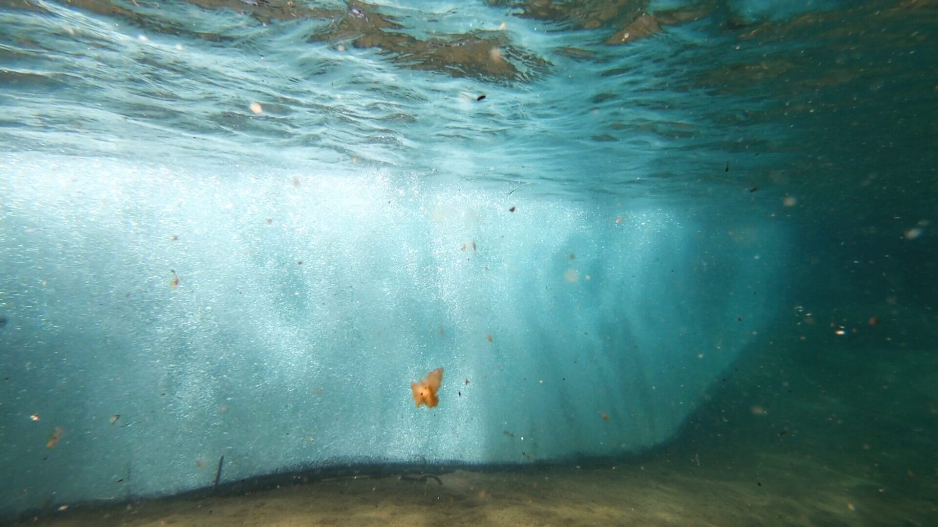 Weed and litter protection