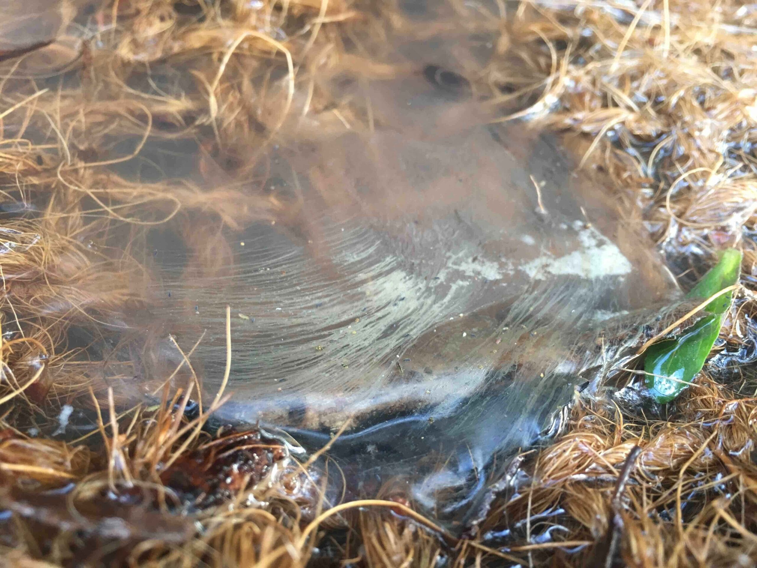 SiltMat-in-stream-slowing-and-traping-muddy-water-scaled