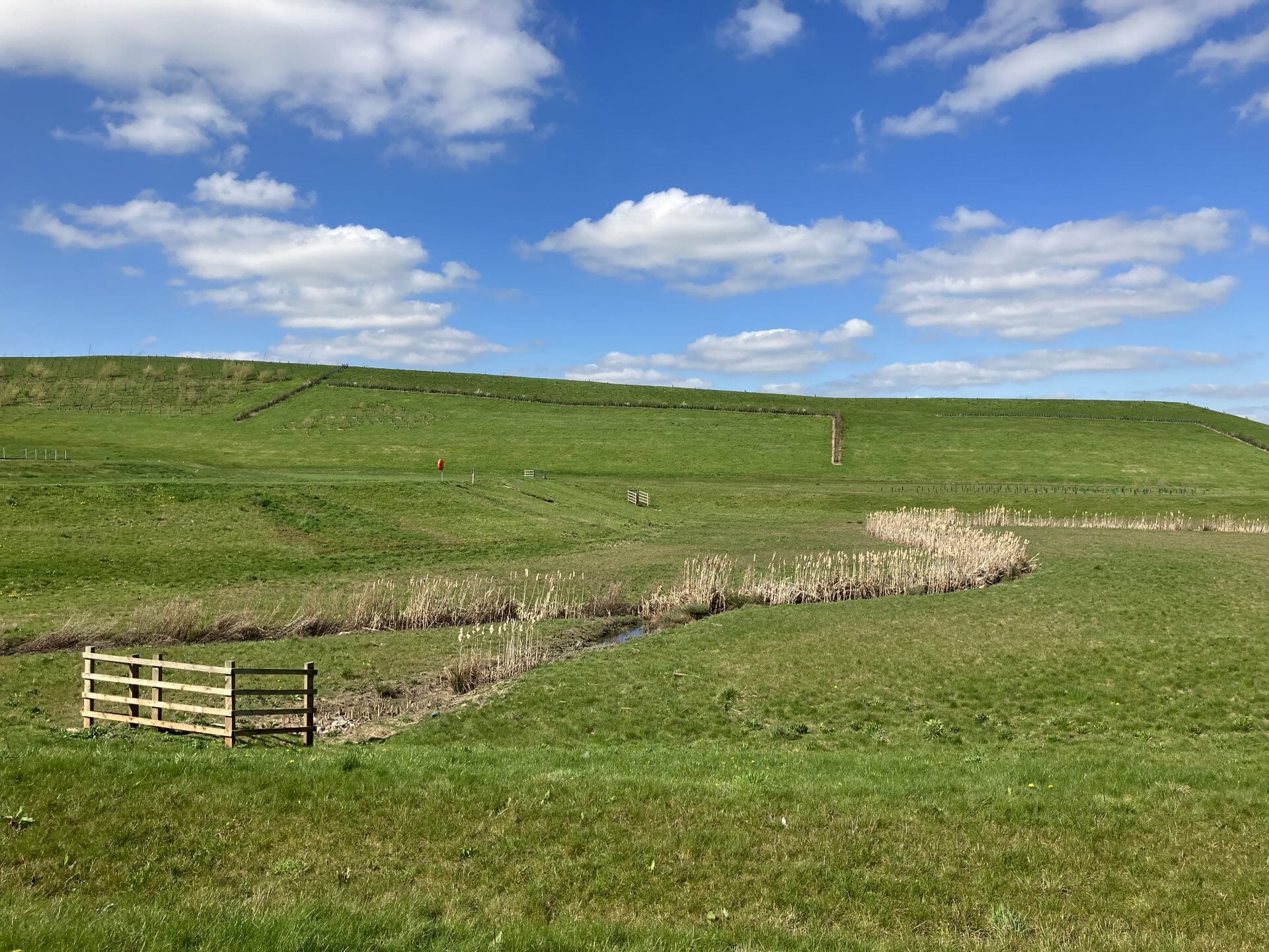 Silt-and-floc-mats-being-used-to-create-seed-matsIMG_0010