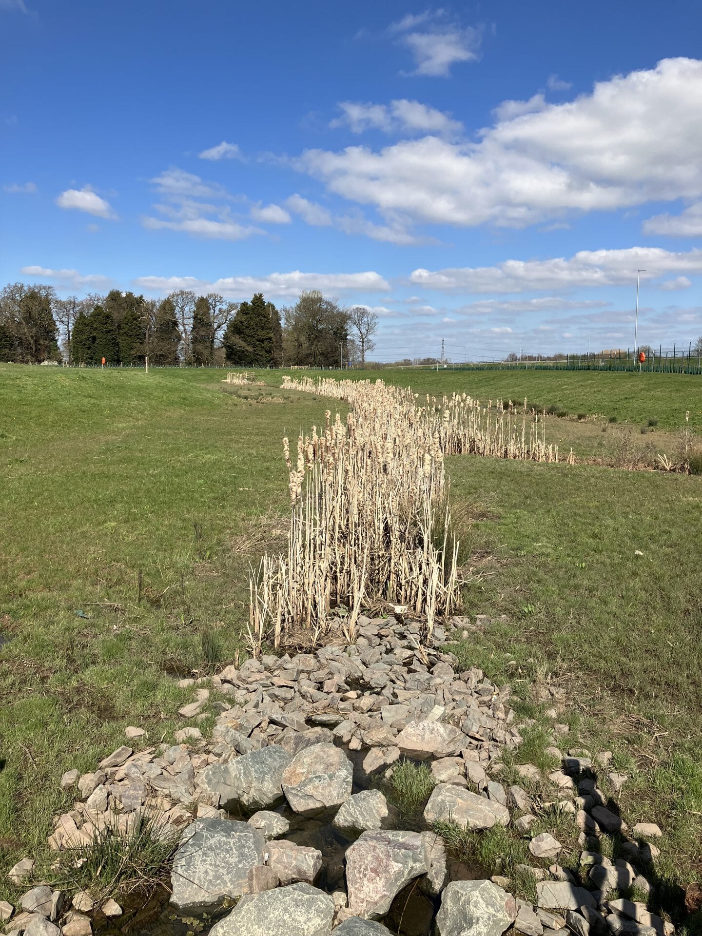 Silt-and-floc-mats-being-used-to-create-seed-matsIMG_0011