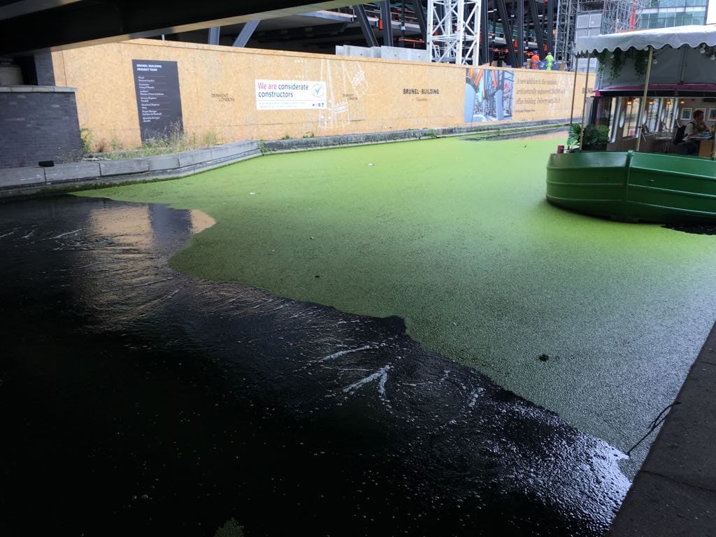 Duckweed Bubble Barrier