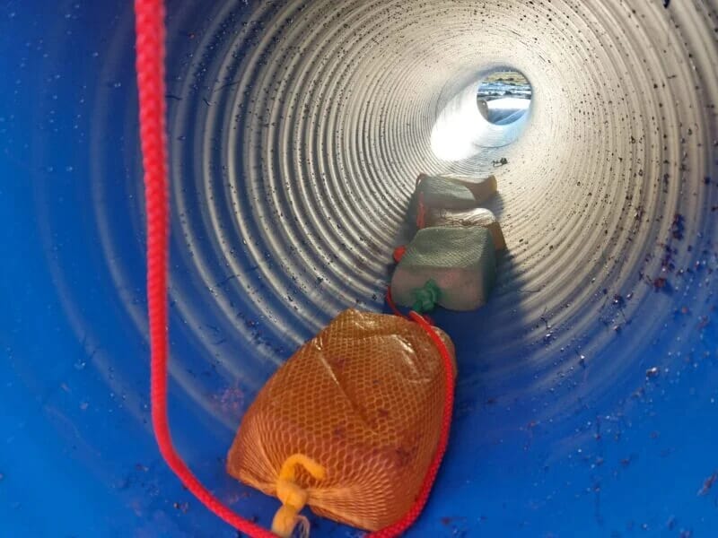 Gel-Flocculant-in-a-drain-pipe-800x600.jpg