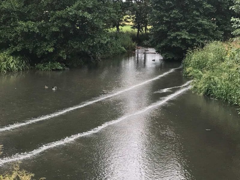 Salix-bubble-curtain-800x600