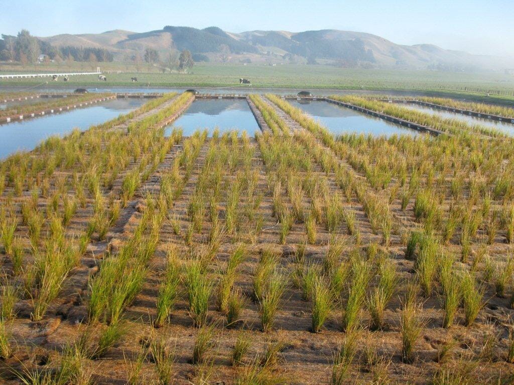 Wastewater-Treatment-SuDS-3