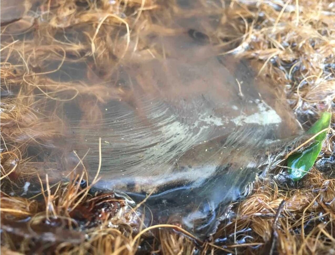 training-gallery-example-4