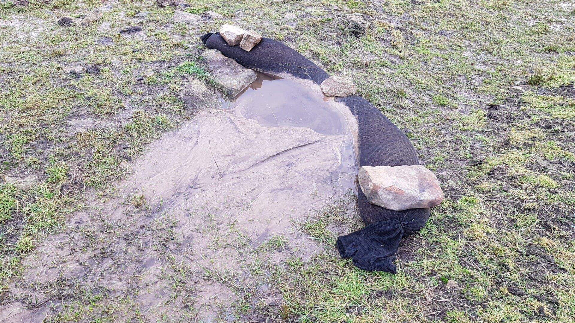 20230113_094320 (Large)