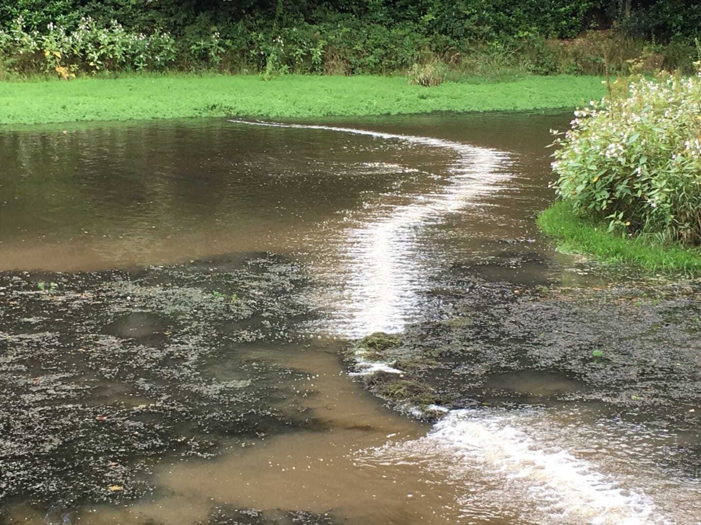Bubble barriers stop silt in Welsh waterways