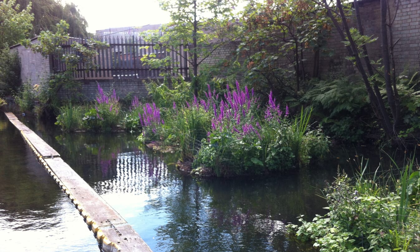 wildlife-rafts-Baynes-street-august-2014-cropped[4]