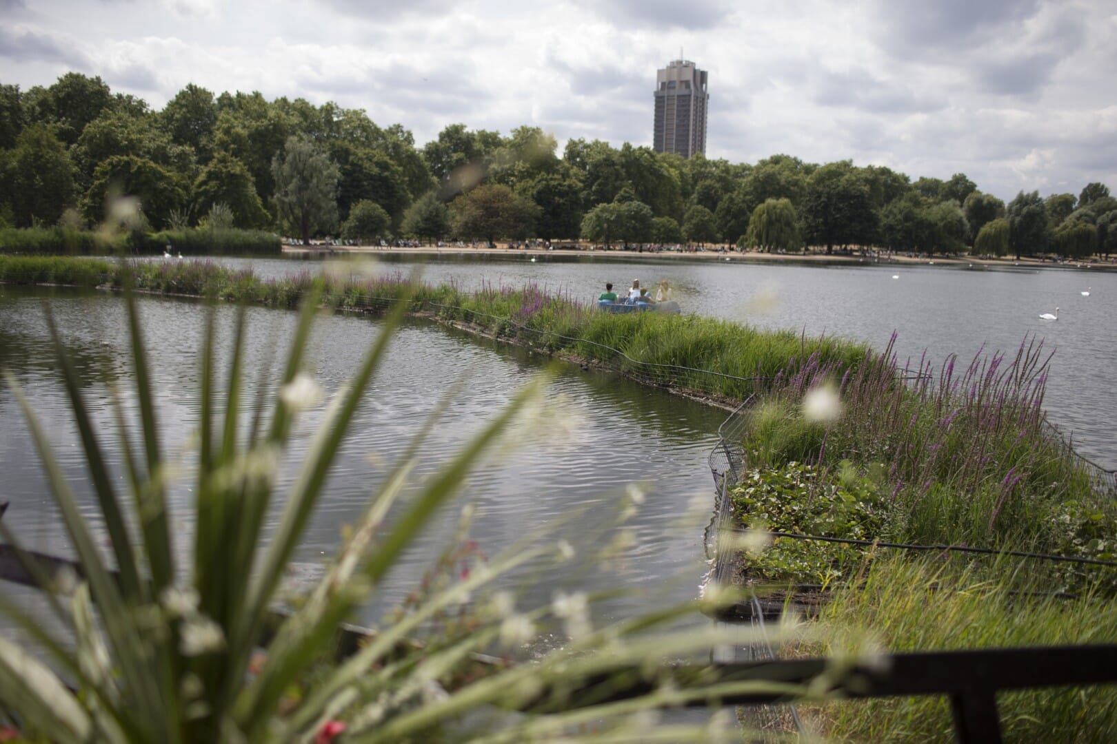 London serpentine floating islands (Large)