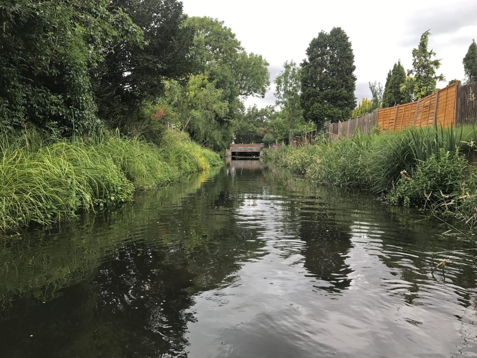 Small-floating-islands-providing-habitats