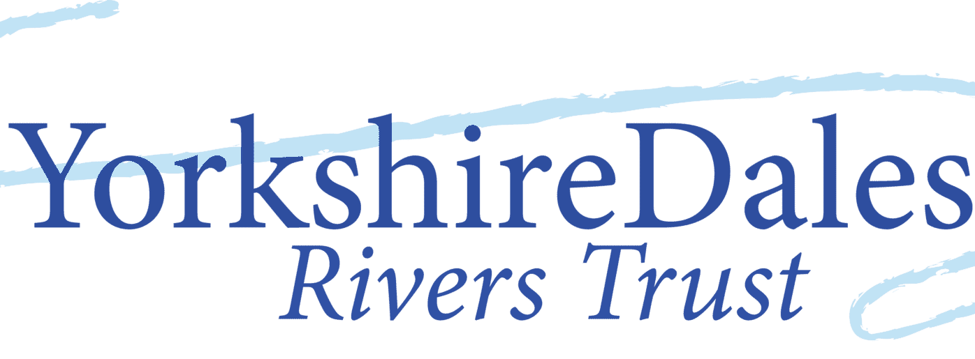 YDRT-LOGO-2048x516-1-e1702553673522