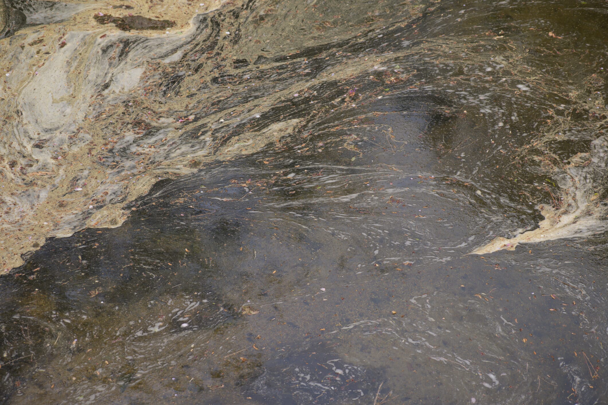 The water surface is dirty.