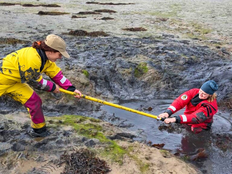 Team Mud Rescue Training